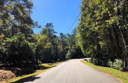 Forest Sound - Streetscape