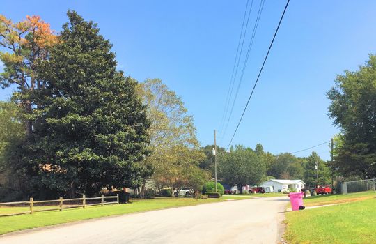 Greenbriar - Streetscape