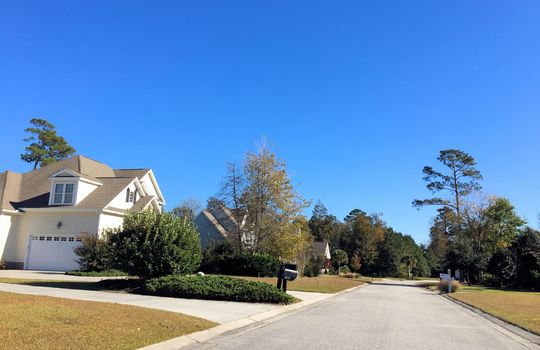 Bent Tree - Streetscape