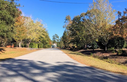 Deerfield Estates - Streetscape