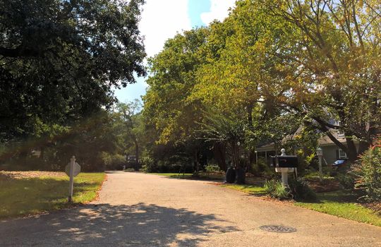 Oak Village - Streetscape