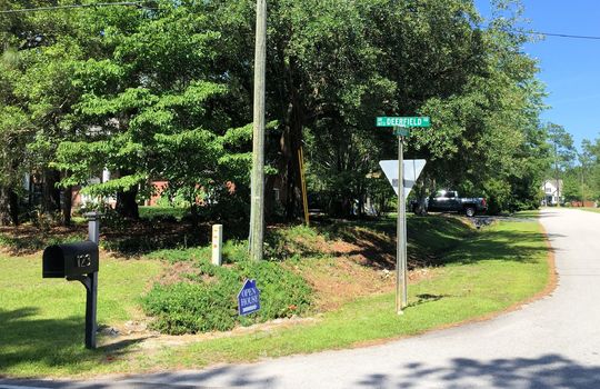 Deerfield Estates - Streetscape