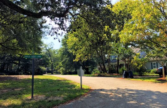 Oak Village - Streetscape