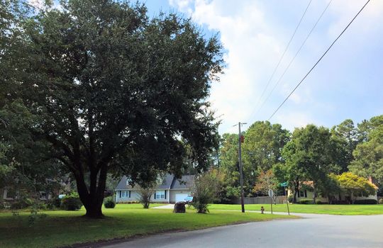 Greenbriar - Streetscape