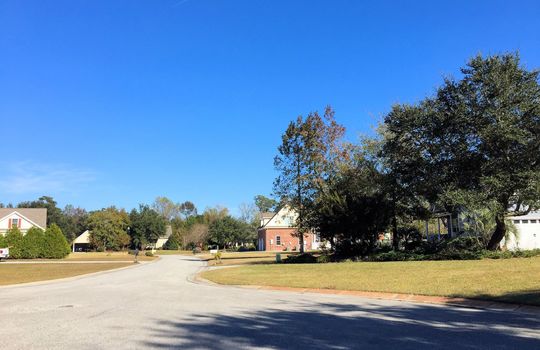 Bent Tree - Streetscape