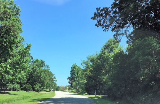 Deerfield Estates - Streetscape