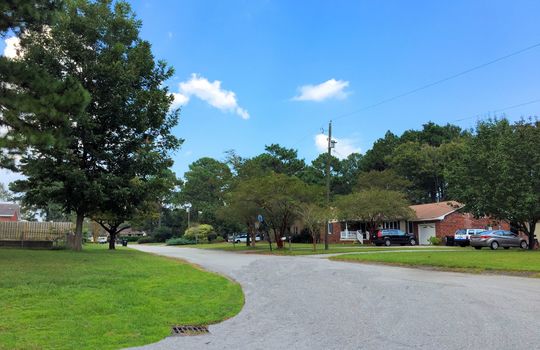 Greenbriar - Streetscape