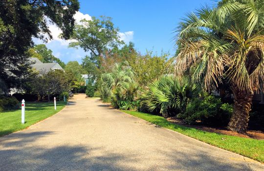 Oak Village - Streetscape