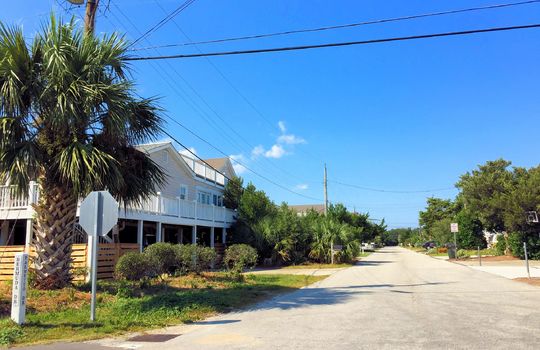 Parmele Isle - Streetscape