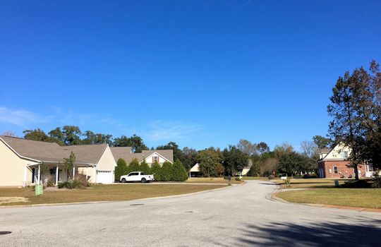 Bent Tree - Streetscape