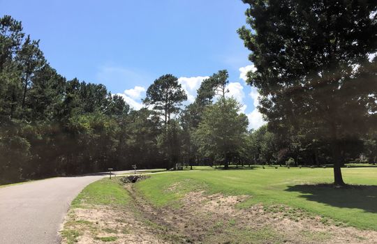 Deerfield Estates - Streetscape