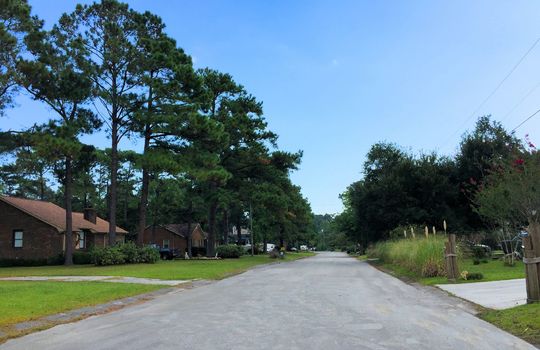 Greenbriar - Streetscape