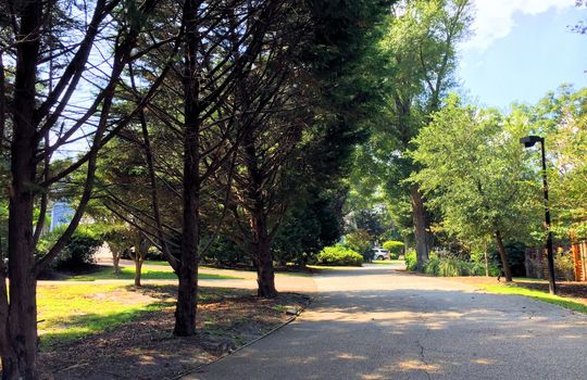 Oak Village - Streetscape