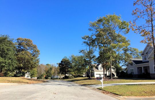 Bent Tree - Streetscape