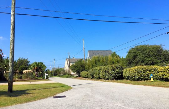 Parmele Isle - Streetscape