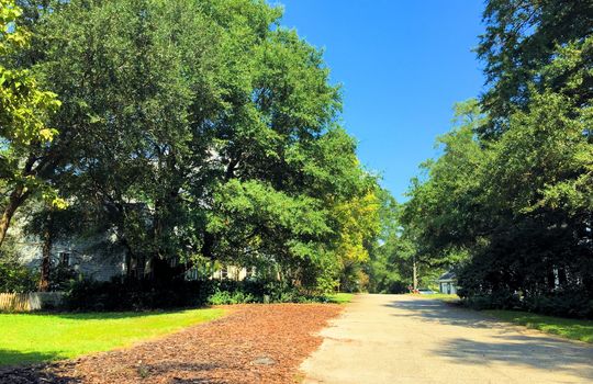 Oak Village - Streetscape