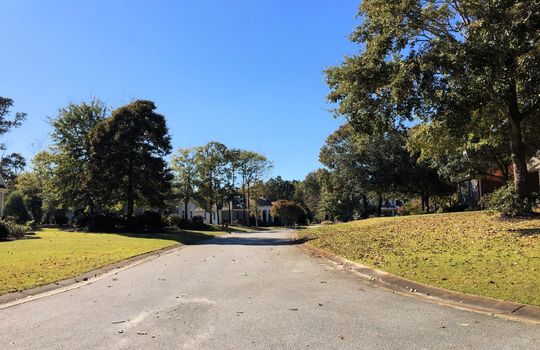Bent Tree - Streetscape