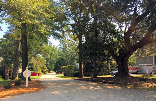 Oak Village - Streetscape