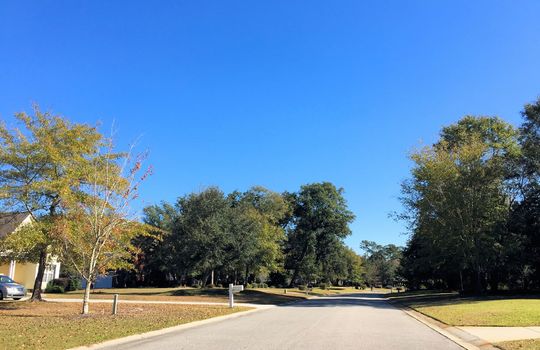 Bent Tree - Streetscape