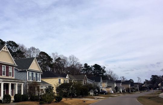 Deer Crossing - Streetscape