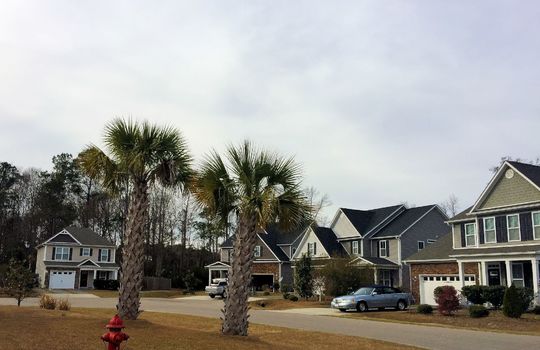 Deer Crossing - Streetscape