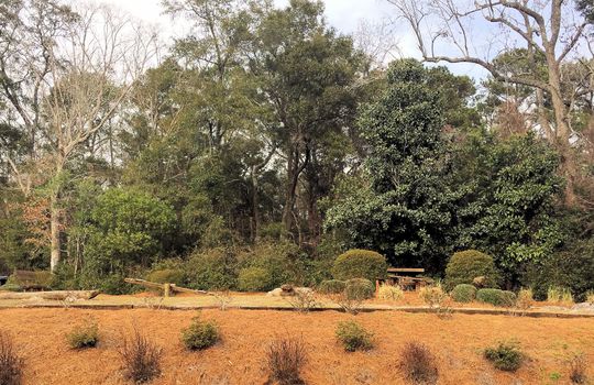 Deer Crossing - Street View