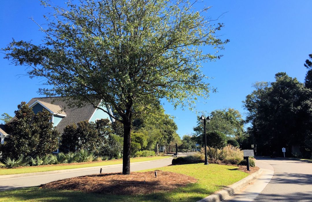 Tidalwalk Homes for Sale in Wilmington, NC The Cameron Team