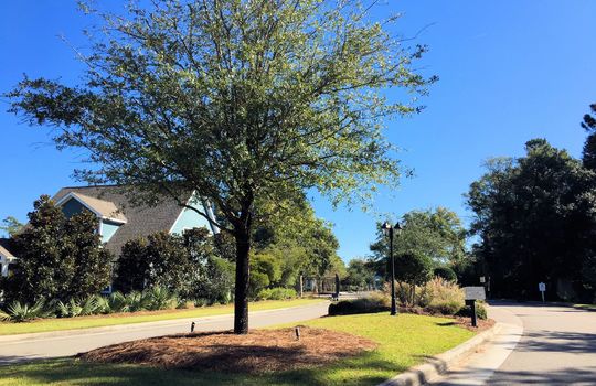 Tidalwalk - Entrance