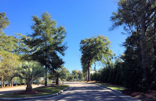 Tidalwalk - Entrance