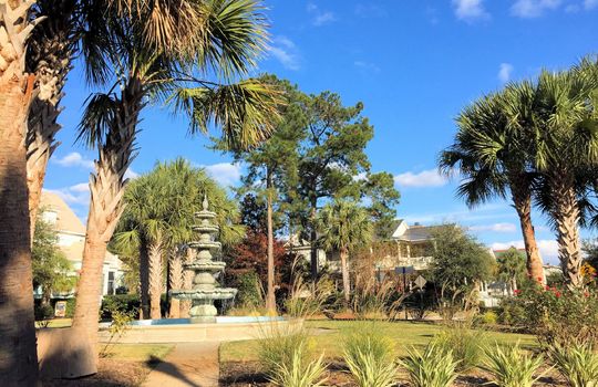 Parkside at Mayfaire - Fountain