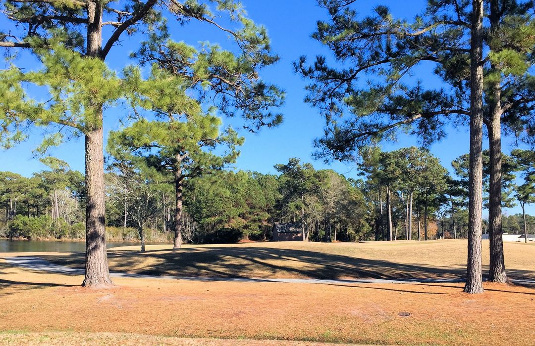 North Shore Country Club Homes for Sale in Sneads Ferry, NC