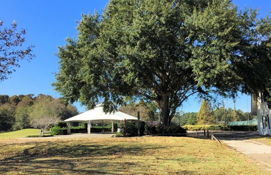 Echo Farms - Golf Course