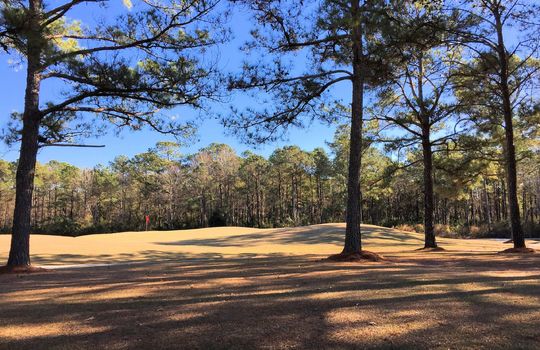 North Shore - Golf Course