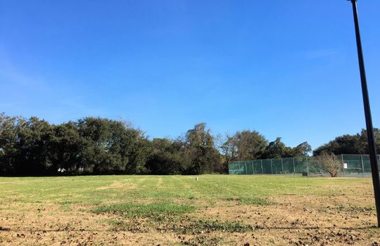 Bayshore Marina - Green Space