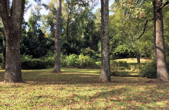 Beaumont - Greenspace