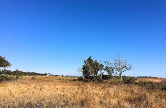 Tidalwalk - Intracoastal Waterway
