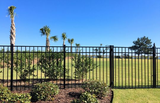 Tidalwalk - Intracoastal Waterway