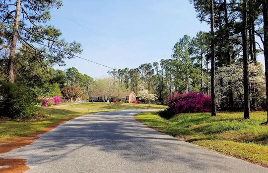 Kings Grant - Streetscape in Spring