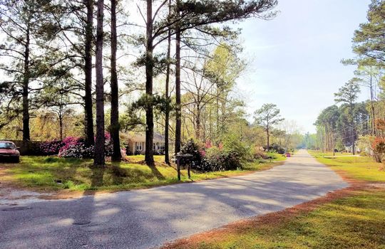Kings Grant - Streetscape in Spring