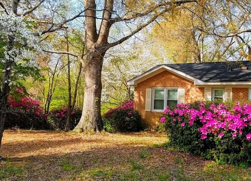 Kings Grant in Spring