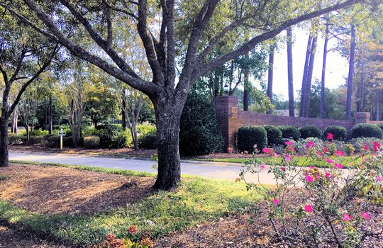 Masonboro Forest - Entrance