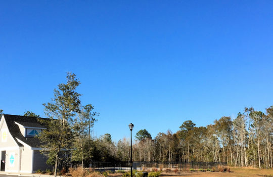 Parsons Mill Farm - Pool