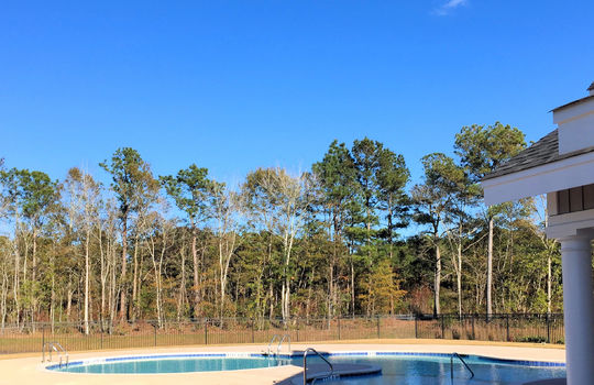 Parsons Mill Farm - Pool