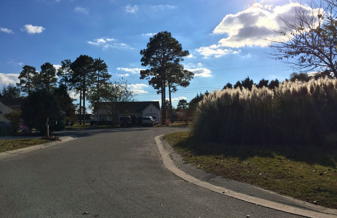 Alamosa Place Homes for Sale in Wilmington, NC The Cameron Team