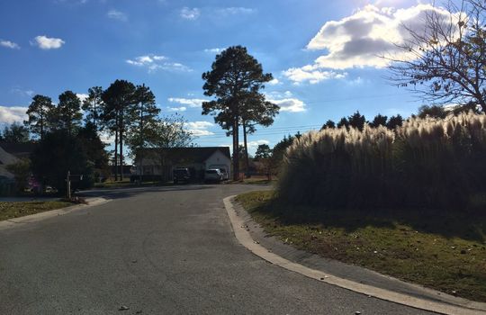 Alamosa Place - Streetscape