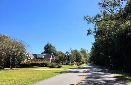 Echo Farms - Streetscape