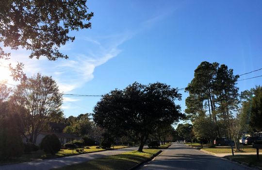 Kings Grant - Streetscape