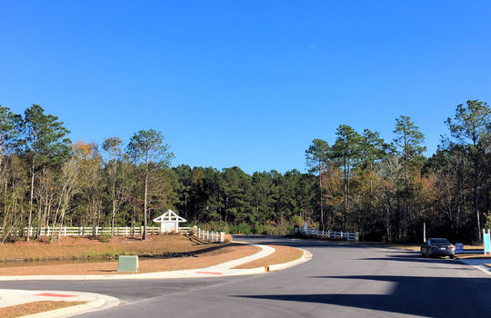 Parsons Mill Farm - Streetscape