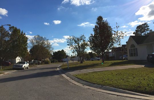 Alamosa Place - Streetscape