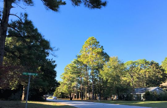 Kings Grant - Streetscape